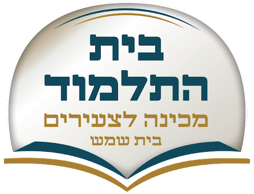 לוגו המכינה